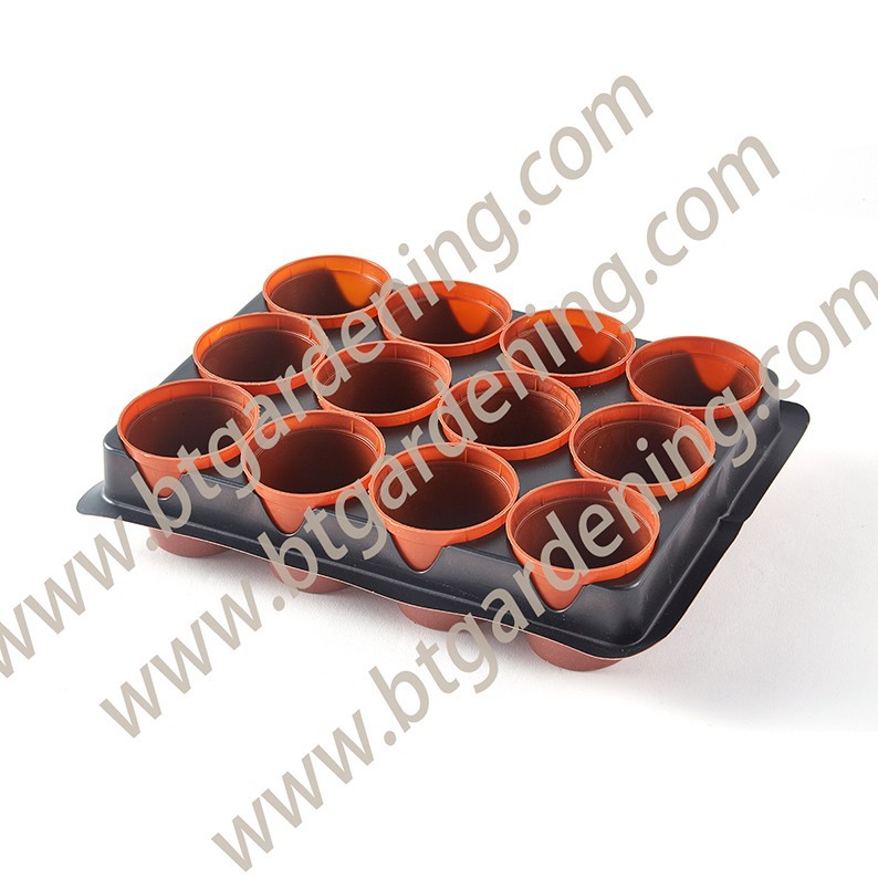 Seed And Cutting Tray With Pots suppliers